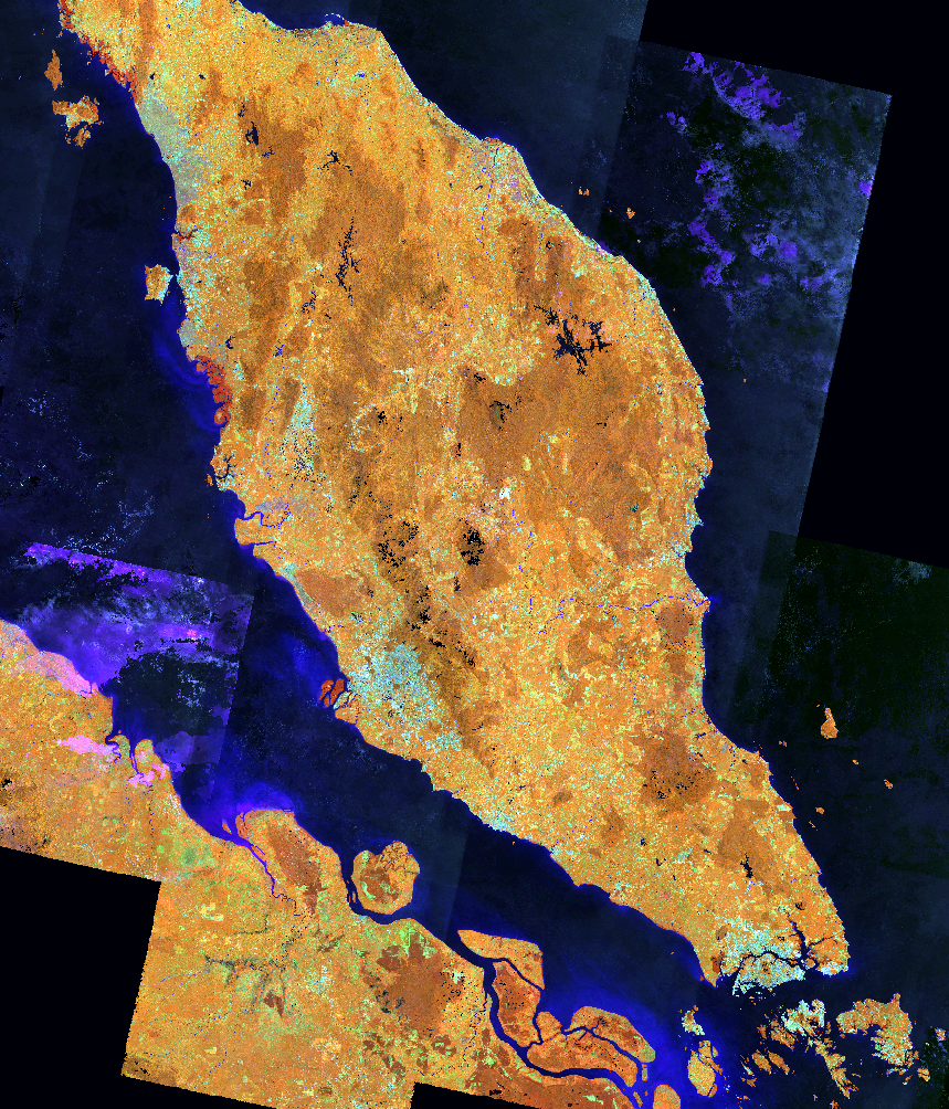False-color Landsat composite of West Malaysia showing land, water, and vegetation patterns
